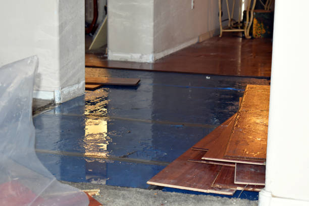 Professional Basement Flood Cleanup technician working in Morton, IL